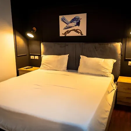 Hotel Moulin Bleu Tirana