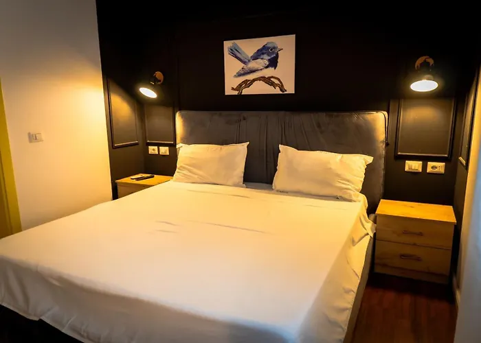 ホテル Moulin Bleu ティラナ